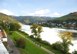Exklusive Ferienwohnung Zell Mosel