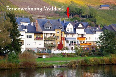 Apartment Mosel - Moselblick