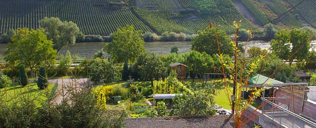 Blick vom Balkon Balkon mit Moselblick