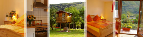 Urlaub an der Mosel - Urlaub in Briedel an der Mosel